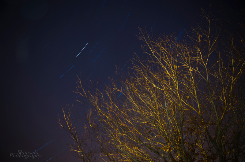 Illustration for article titled Star Trails